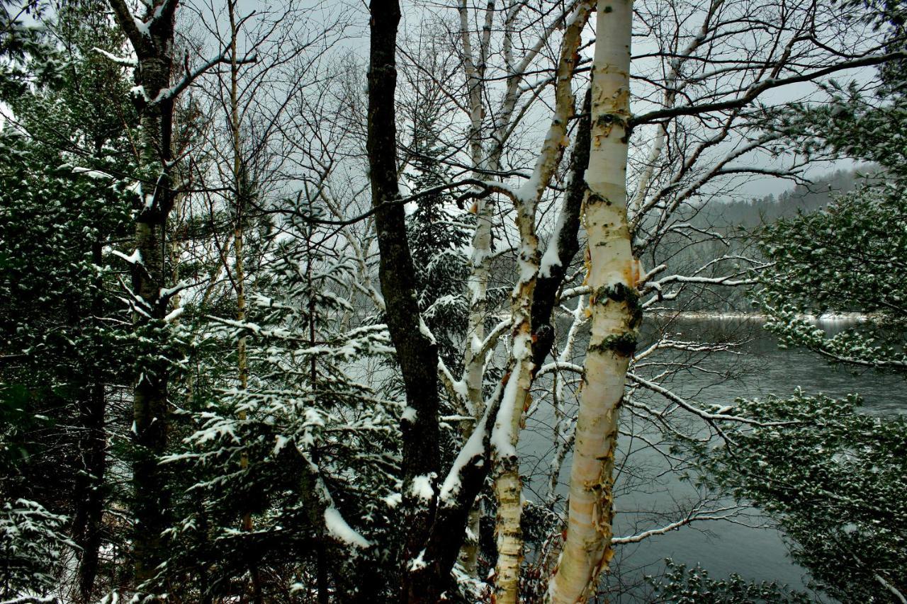 Chalet Au Bord Du St-Maurice La Tuque Buitenkant foto