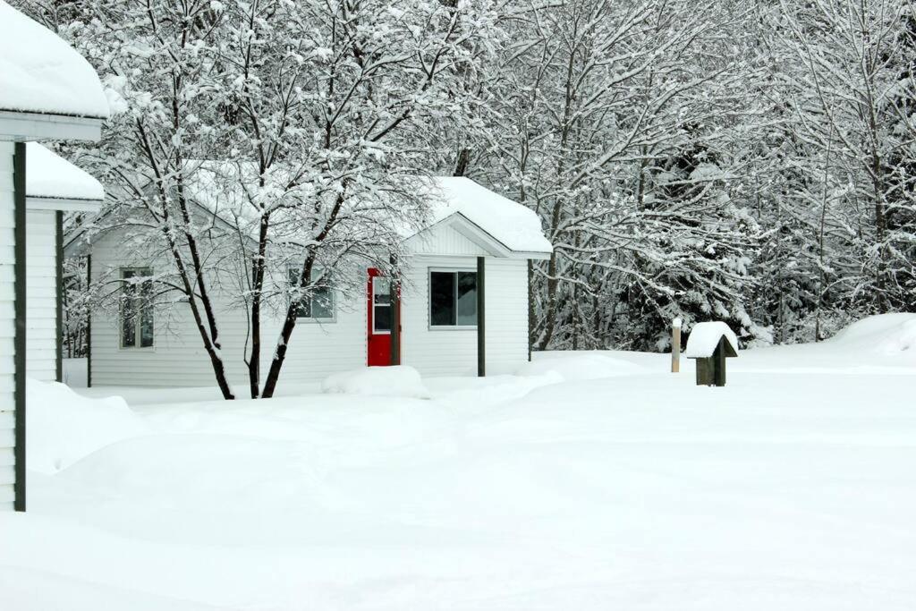 Chalet Au Bord Du St-Maurice La Tuque Buitenkant foto