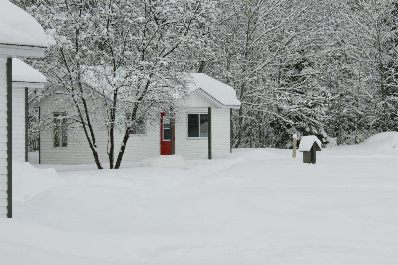 Chalet Au Bord Du St-Maurice La Tuque Buitenkant foto