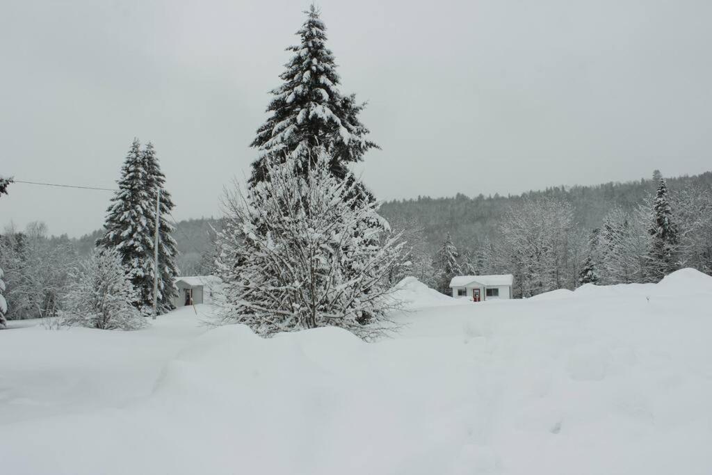 Chalet Au Bord Du St-Maurice La Tuque Buitenkant foto